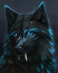  2022 ambiguous_gender black_body black_fur black_nose blue_eyes canid canine canis digital_media_(artwork) feral fur headshot_portrait hi_res hybrid mammal muns11 portrait solo whiskers wolf 