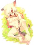  &#332;kami anthro anthrofied blush breasts canine cute deity female furry kishibe mammal nipples okami ookami_(game) pussy solo tail video_games wolf young 