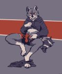  anthro biped bottomwear bottomwear_down bulge clothed clothing erection furvidd hi_res hoodie looking_at_viewer male mammal pants pants_down partially_clothed procyonid raccoon sitting solo topwear underwear 