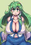  1girl blue_dress blue_skirt breasts cleavage collared_shirt detached_sleeves dress enajii green_eyes green_hair highres japanese_clothes kochiya_sanae large_breasts long_hair miko nontraditional_miko shirt skirt sleeveless sleeveless_shirt solo touhou white_shirt 