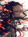  1girl angry bangs bit_gag black_hair blurry blurry_background brown_hair claws commentary_request embers eyelashes face fingernails fire flame from_side gag gagged gradient_hair grey_background hair_ribbon hands haori highres japanese_clothes kamado_nezuko kimetsu_no_yaiba kimono long_eyelashes long_fingernails long_hair looking_to_the_side multicolored_hair pink_eyes pink_kimono pink_ribbon print_kimono ribbon sharp_fingernails shiny shiny_hair signature simple_background slit_pupils solo upper_body user_ghwd8447 veins very_long_hair white_background 