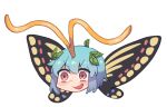  1girl antennae aqua_hair butterfly_wings eternity_larva evil_smile eyebrows_visible_through_hair fairy hair_between_eyes leaf leaf_on_head nyong_nyong open_mouth orange_eyes short_hair simple_background smile solo touhou v-shaped_eyebrows white_background wings yukkuri_shiteitte_ne 