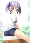  1girl ass bangs blue_buruma blurry blurry_background buruma closed_mouth commentary_request depth_of_field eyebrows_visible_through_hair gym_shirt gym_uniform highres looking_at_viewer looking_back original puffy_short_sleeves puffy_sleeves purple_eyes purple_hair shibacha shirt short_sleeves sitting smile solo twintails vaulting_horse white_shirt 