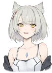  1girl :d animal_ear_fluff animal_ears bangs bare_shoulders blush braid breasts camisole cat_ears chest_jewel cleavage collarbone cropped_torso eyebrows_visible_through_hair haoni highres looking_at_viewer mio_(xenoblade) off_shoulder open_mouth short_hair silver_hair small_breasts smile solo upper_body v-shaped_eyebrows xenoblade_chronicles_(series) xenoblade_chronicles_3 yellow_eyes 