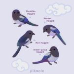  ._. animal animal_focus arrow_(symbol) artist_name beak bird closed_mouth cloud commentary english_commentary english_text from_side grey_background magpie no_humans original pikaole simple_background standing watermark 