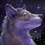  1:1 2022 black_nose canid canine detailed_background digital_media_(artwork) fur goldendruid green_eyes mammal night outside sky smile star starry_sky tan_body tan_fur white_body white_fur 