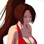  1girl bare_shoulders breasts brown_eyes brown_hair fatal_fury large_breasts looking_away ponytail shiranui_mai sleeveless the_king_of_fighters upper_body werfmight 