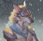  2021 anthro athletic black_nose blue_body blue_fur canid canine canis fur grey_body grey_fur headshot_portrait hi_res light looking_at_viewer male mammal multicolored_body multicolored_fur pecs plant portrait snow snowing solo sunlight tree white_body white_fur wolf yellow_body yellow_fur yi_feng 