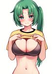  1girl bangs blush breasts closed_mouth clothes_lift commentary deadnooodles embarrassed eyebrows_visible_through_hair green_hair hands_up highres higurashi_no_naku_koro_ni large_breasts lifted_by_self light_frown long_hair looking_at_viewer navel parted_bangs raised_eyebrows romaji_commentary shiny shiny_hair shirt shirt_lift side_ponytail simple_background solo sonozaki_mion sweat upper_body white_background yellow_shirt 