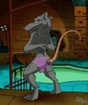  2017 absurd_res anthro balls clothed clothing genitals hi_res ian_r_soulfox lingerie looking_at_viewer male mammal master_splinter murid murine raised_tail rat rodent smile smirk solo teenage_mutant_ninja_turtles topless 