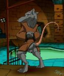  2017 absurd_res anthro balls bottomless clothed clothing genitals hi_res ian_r_soulfox looking_at_viewer male mammal master_splinter murid murine raised_tail rat rodent smile smirk solo teenage_mutant_ninja_turtles 