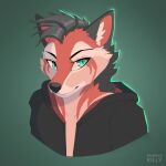  anthro avatar_(disambiguation) canid canine foc fox hi_res male mammal portrait purplekilly solo 