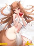  animal_ear_fluff animal_ears apple bed_sheet blush brown_hair commentary food fruit highres holding holding_food holding_fruit holo looking_at_viewer lying mignon navel nude on_side red_eyes spice_and_wolf tail wolf_ears wolf_girl wolf_tail 