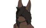  absurd_res anthro canid canine hair hair_over_eyes hi_res male mammal solo_focus xvii_(artist) 