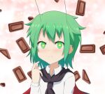  +_+ 1girl :t antennae cape cato_(monocatienus) chocolate commentary eating green_eyes green_hair long_sleeves looking_at_viewer portrait shirt short_hair smile solo touhou v-shaped_eyebrows white_shirt wriggle_nightbug 