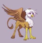  absurd_res avian beak brown_body brown_feathers claws eyelashes feathered_wings feathers female feral friendship_is_magic gilda_(mlp) gryphon half-closed_eyes hasbro hi_res long_tail my_little_pony mythological_avian mythology narrowed_eyes open_mouth ponsex simple_background solo toe_claws tuft white_body white_feathers wings yellow_body 