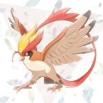  animal_focus beak bird brown_eyes closed_mouth commentary_request full_body mega_pidgeot mega_pokemon no_humans oniwa_nwai pidgeot pokemon pokemon_(creature) solo standing talons 