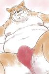  2022 anthro asian_clothing balls belly brown_body bulge canid canine clothing east_asian_clothing fundoshi genitals japanese_clothing kemono male mammal mikanyeye moobs navel nipples overweight overweight_male red_clothing red_fundoshi red_underwear solo tongue tongue_out underwear white_body 