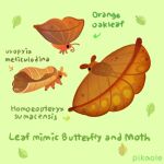  animal animal_focus antennae arrow_(symbol) artist_name brown_eyes bug butterfly closed_mouth commentary english_commentary english_text green_background leaf moth no_humans orange_eyes original pikaole purple_eyes simple_background standing watermark 