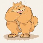  2022 anthro asian_clothing black_nose blush canid canine canis clothing domestic_dog east_asian_clothing eyes_closed footwear fundoshi hi_res japanese_clothing kemono male mammal mtmnkmn125 overweight overweight_male sandals solo underwear white_clothing white_fundoshi white_underwear 