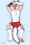  2:3 anthro blush boxers_(clothing) bulge canid canine canis checho clothed clothing dakimakura_design embarrassed fondling fur gaokun genitals hair happy hi_res lying male mammal pillow pink_hair pose shy simple_background smile solo stretching sumbissive tail topless underwear wolf 