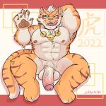  2022 abs anthro balls big_penis blue_eyes chinese_zodiac claws felid fur genitals hand_behind_head humanoid_genitalia humanoid_penis jewelry licking licking_lips lin_hu looking_at_viewer male mammal multicolored_body muscular muscular_male necklace nekojishi nipples orange_body orange_fur pantherine pawpads penis sharp_teeth sinsxie smile solo spread_legs spreading stripes studio_klondike teeth tiger tongue tongue_out two_tone_body video_games visual_novel watermark year_of_the_tiger 