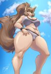  2022 anthro baniflakes big_breasts breasts camel_toe canid canine clothed clothing female fur hair hi_res long_hair looking_at_viewer mammal raised_tail sky smile solo thick_thighs 