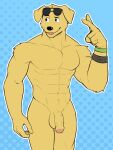  abs anthro balls biceps bird_dog black_eyes blue_background bojack_horseman broad_shoulders canid canine canis clothing domestic_dog dotted_background elbow_tufts eyewear foreskin fur genitals golden_retriever hi_res humanoid humanoid_genitalia humanoid_hands humanoid_penis hunting_dog jrjresq labrador looking_at_viewer looking_away male mammal mr._peanutbutter muscular muscular_anthro muscular_male navel netflix pattern_background penis retriever shoulder_tuft simple_background solo standing sunglasses swimwear tongue tongue_out tuft vein veiny_penis yellow_body yellow_fur 