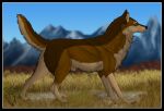  2015 amber_eyes animal_genitalia anus blue_sky brown_body brown_fur canid canine canis claws dark_claws digital_drawing_(artwork) digital_media_(artwork) digitigrade ear_piercing ear_ring feral fully_sheathed fur genitals grass karn_(karn_the_wolf) looking_away male mammal mountain nikitainu pawpads piercing plant quadruped raised_tail sheath side_view sky solo standing wolf 