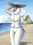  absurd_res annie_(fish_birb) anthro beach bottomless clitoris clothed clothing dress_shirt exhibitionism female fish_birb genitals hi_res kite_(bird) no_pants no_underwear pinup pose pussy seaside shirt short_sleeved_shirt short_sleeves solo sun_hat topwear white-tailed_kite 
