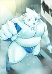  2022 absurd_res anthro belly black_nose bodily_fluids bulge clothing hi_res huge_filesize humanoid_hands kawakyun1 kemono locker_room male mammal moobs nipples overweight overweight_male polar_bear solo sweat underwear ursid ursine 