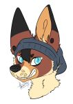  anthro beanie canid canine clothing cy_(fodderbonez) flesh_tunnel fur grin hair hat hazed headgear headshot headwear male mammal maned_wolf portrait smile snarky solo 