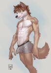  5_fingers abs anthro brown_body brown_hair brown_tail bulge canid canine canis clothing detailed_bulge domestic_dog fingers fur genital_outline green_eyes grey_clothing grey_underwear hair hi_res lion21 looking_at_viewer male mammal nude penis_outline simple_background smile solo underwear white_body white_fur 