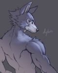  anthro beastars canid canine canis dylarts fur grey_body grey_fur legoshi_(beastars) looking_at_viewer looking_back male mammal muscular muscular_anthro muscular_male scar simple_background solo wolf 