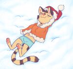  2021 :3 ambiguous_gender anthro banded_linsang barefoot bedding belly_tuft biped blanket blush blush_lines boxer_briefs brown_body brown_ears brown_fur brown_spots brown_stripes cheek_tuft christmas christmas_clothing christmas_headwear clothed clothing dipstick_tail eyes_closed facial_tuft feet fuel_(artist) fur hat head_tuft headgear headwear hi_res holidays inner_ear_fluff linsang lying male_(lore) mammal markings on_back pawpads pink_nose santa_hat sleeping snow solo spots striped_markings striped_tail stripes tail_markings tan_body tan_fur tuft ty_(appleseed) underwear viverrid 