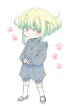  1boy 302 chibi frilled_legwear frilled_shirt frills green_hair highres lio_fotia male_focus mary_janes paw_print promare purple_eyes shirt shoes sidelocks socks solo white_legwear 