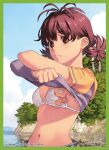  1girl artist_name bangs bikini border brown_eyes brown_hair clothes_lift copyright crossed_arms day expressionless green_border lifted_by_self navel non-web_source original outdoors shirt_lift short_sleeves solo swimsuit tanaka_kunihiko twintails 
