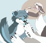  animated anthro blue_body bodily_fluids brown_body claws duo eyes_closed feet fluffy fluffy_tail foot_fetish foot_lick foot_play giggle licking lying mituni_(artist) saliva short_playtime teeth tongue tongue_out 