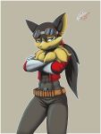  2018 absurd_res anthro belt border bottomwear canid canine canis clothing crossed_arms eoks fur guntz hi_res klonoa_(series) male mammal pants red_clothing signature simple_background unamused video_games white_border wolf 