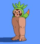  5_toes chespin feet halfcut hi_res legs marblepan modular nintendo pok&eacute;mon pok&eacute;mon_(species) swb toes unusual_anatomy video_games what 