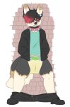  ambiguous_gender anthro blush bodily_fluids canid canine clothing collar diaper genital_fluids hardscales hi_res jacket looking_at_viewer mammal peeing punk soggy_diaper solo spiked_collar spikes topwear urine wet_diaper wetting 