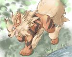  animal_focus arcanine artist_name bright_pupils brown_eyes commentary_request dated fangs grass highres katkichi looking_to_the_side no_humans one-hour_drawing_challenge open_mouth pokemon pokemon_(creature) signature solo standing tongue white_pupils 