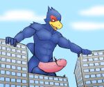  avian bird blue_body building city erection falco_lombardi genitals hi_res jrjresq looking_down macro nintendo penile penis penis_riding siman-clifton star_fox video_games 