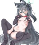  1girl absurdly_long_hair anal_tail animal_costume animal_ears animal_hands animal_print arisu_(blue_archive) bikini black_bikini black_hair blue_archive blue_eyes breasts cat_ears choker fake_animal_ears fake_tail gloves highres long_hair machismo_fuji micro_bikini paw_gloves paw_pose paw_print paw_shoes small_breasts swimsuit tail very_long_hair 