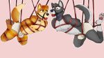  absurd_res aless-sotan anthro athletic athletic_male ball_gag bdsm bondage bound bound_together briefs brown_eartips brown_eyes brown_hair brown_stripes bulge canid canine canis clothed clothing cobondage collar darkwolf_(silver1986) digital_drawing_(artwork) digital_media_(artwork) duo eye_contact fox fur gag gagged grey_body grey_fur hair hands_behind_back hi_res looking_at_another male mammal mostly_nude multicolored_body multicolored_fur nipples orange_body orange_fur orange_tail pink_background pink_nipples restraints rope rope_bondage rope_harness siaph21 simple_background stripes submissive submissive_male suspension suspension_bondage tan_body tan_fur tan_tail_tip tighty_whities topless topless_male two_tone_body two_tone_fur underwear white_body white_clothing white_fur white_underwear wolf worried yellow_eyes 