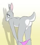  anthro balls belly biped black_eyebrows blue_eyes bucklebunny butt clothed clothing eyebrows fur genitals gradient_background grey_body grey_ears grey_fur grey_head_tuft grey_tail hand_on_knee hand_on_leg hi_res inner_ear_fluff lagomorph leporid long_ears looking_back male mammal panties panties_down partially_clothed pink_clothing pink_inner_ear pink_panties pink_underwear presenting presenting_balls presenting_hindquarters rabbit rear_view scut_tail shadow short_tail simple_background smile solo tuft underwear underwear_down white_background white_balls white_belly white_body white_butt white_fur white_inner_ear_fluff white_tail yellow_background 