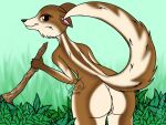  2022 anthro anus barely_visible_anus bedroom_eyes big_butt blue_sky_studios branch brown_body brown_fur butt digital_drawing_(artwork) digital_media_(artwork) disney fcomega121 female fluffy_cheeks fur fur_markings genitals hi_res holding_object ice_age_(series) long_tail looking_at_viewer looking_back mammal markings mephitid narrowed_eyes orange_eyes plant presenting presenting_hindquarters pussy raised_tail seductive signature simple_background skunk smile smirk solo solo_focus suggestive_pose tan_body tan_fur watermark zee_(ice_age) zorilla 