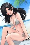  1girl ahoge artist_name bangs beach bikini black_eyes black_hair blue_sky blurry blurry_background breasts cleavage cloud cloudy_sky commentary day depth_of_field dutch_angle girls_und_panzer grey_bikini half-closed_eyes halterneck horizon isuzu_hana knee_up long_hair looking_at_viewer matsui_yasutsugu medium_breasts navel open_mouth outdoors palm_tree side-tie_bikini signature sitting sky smile solo swimsuit tree 