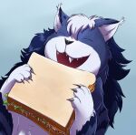  2020 anthro claws domestic_cat eyes_closed fangs felid feline felis food fur hair happy hi_res holding_food holding_object holding_sandwich male mammal open_mouth sandwich_(food) shenzel shenzel_(shenzel) smile solo teeth 