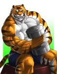  2011 anthro big_muscles black_body black_fur black_nose bottomwear clothed clothing dumbbell echin exercise felid fur huge_muscles humanoid_hands male mammal mike_the_tiger muscular muscular_anthro muscular_male orange_body orange_fur pantherine shorts simple_background snarling solo striped_body striped_fur stripes tiger topless veiny_muscles weightlifting weights whiskers white_body white_fur workout 